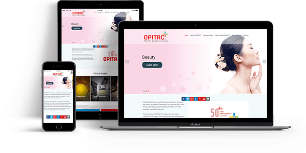 Custom MEAN Development Service Custom MEAN Development Service