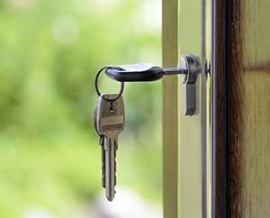 Real Estate Website Development