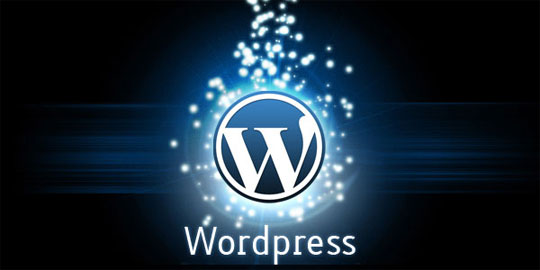 Hire Outsource PSD to WordPress Developer 