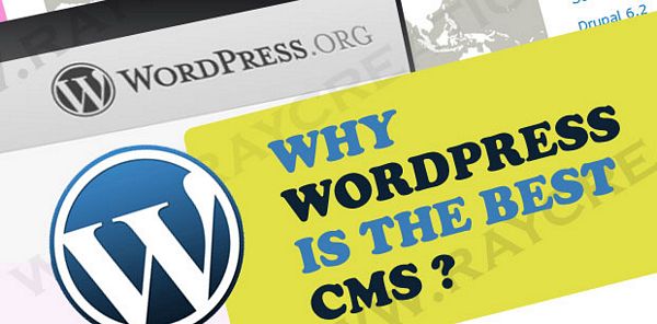 Wordpress