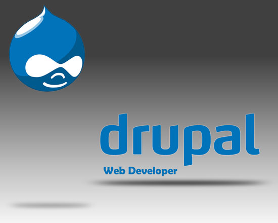 Drupal Developer