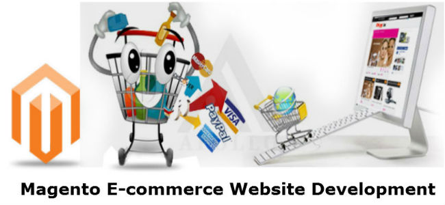 Magento E-commerce Website Development