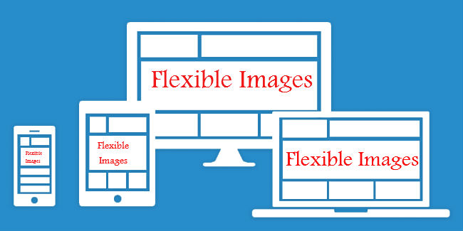 Flexible Images