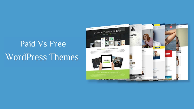 WordPress Themes