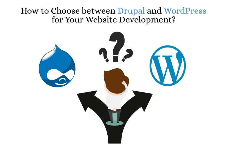 How to Choose between Drupal and WordPress for Your Website Development