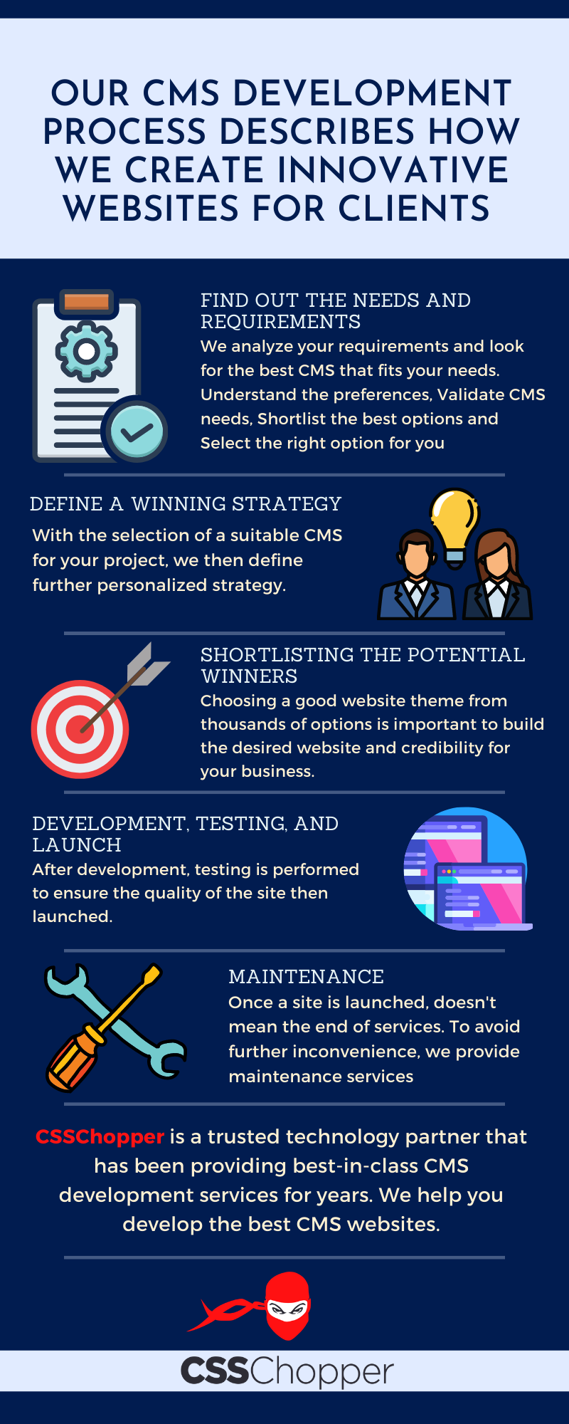 cms development process