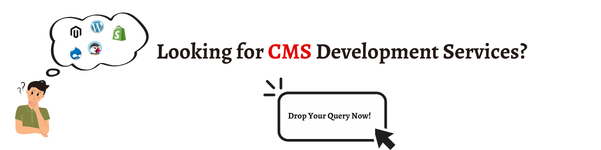 Looking for CMS Development Services?