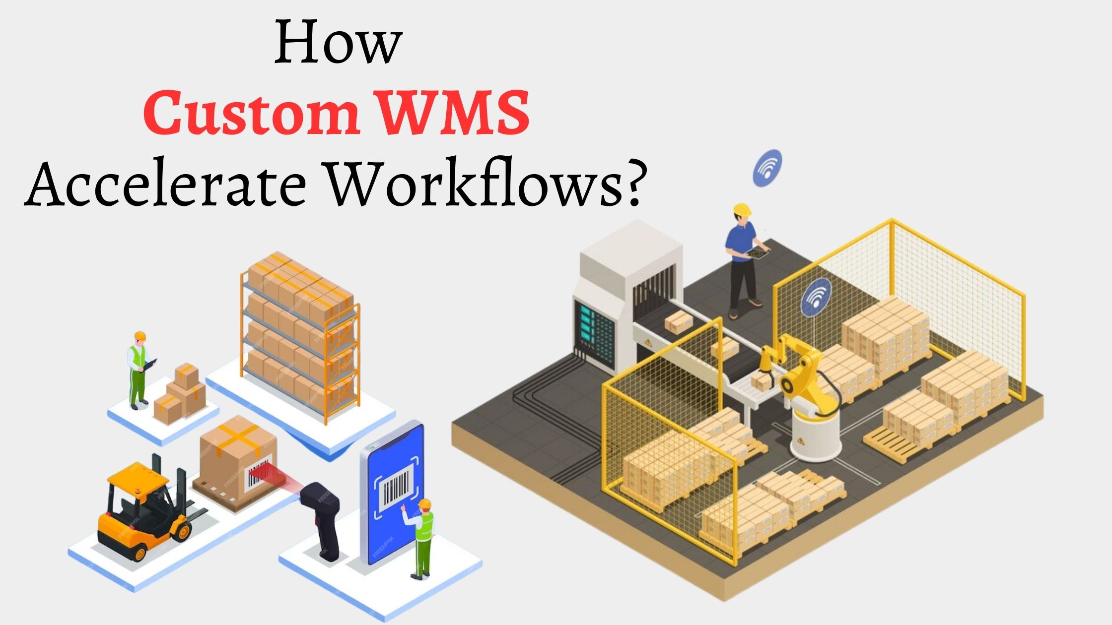 Accelerate Your Business Workflows With Custom WMS Solutions