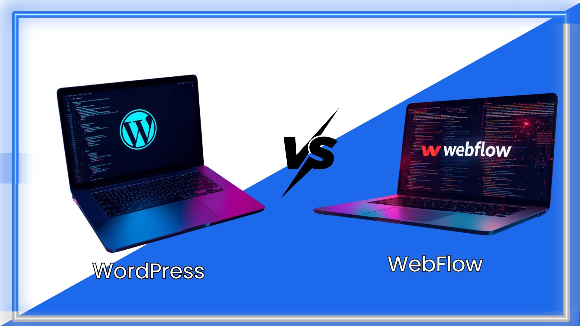 webflow vs wordpress